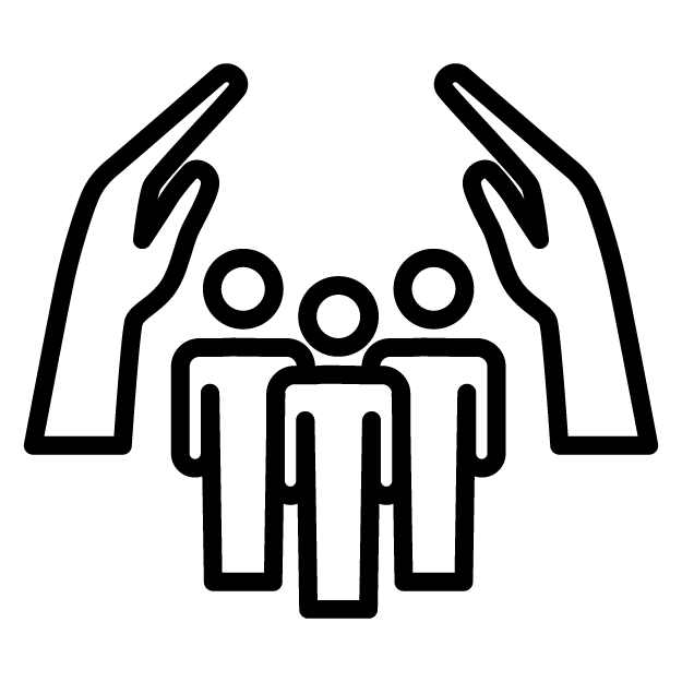 dsm_icon
