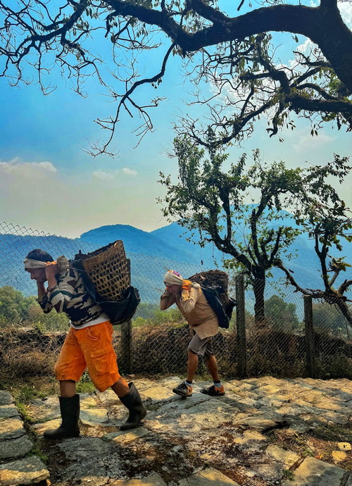 CLIGEOS-2024-porters.png